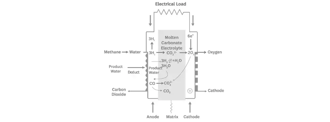 Molten Carbonate Fuel Cells