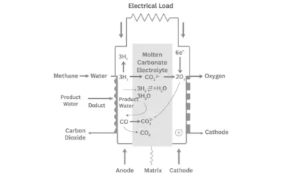 Molten Carbonate Fuel Cells