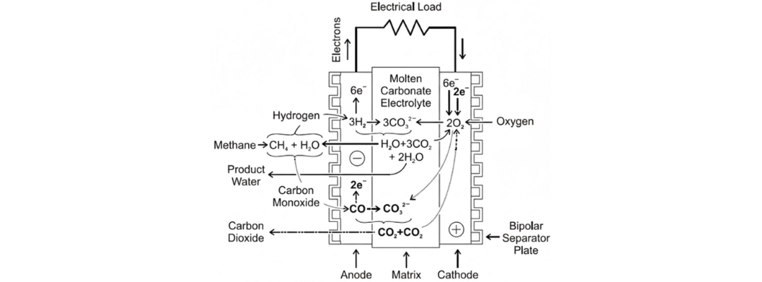 Molten Carbonate Fuel Cells